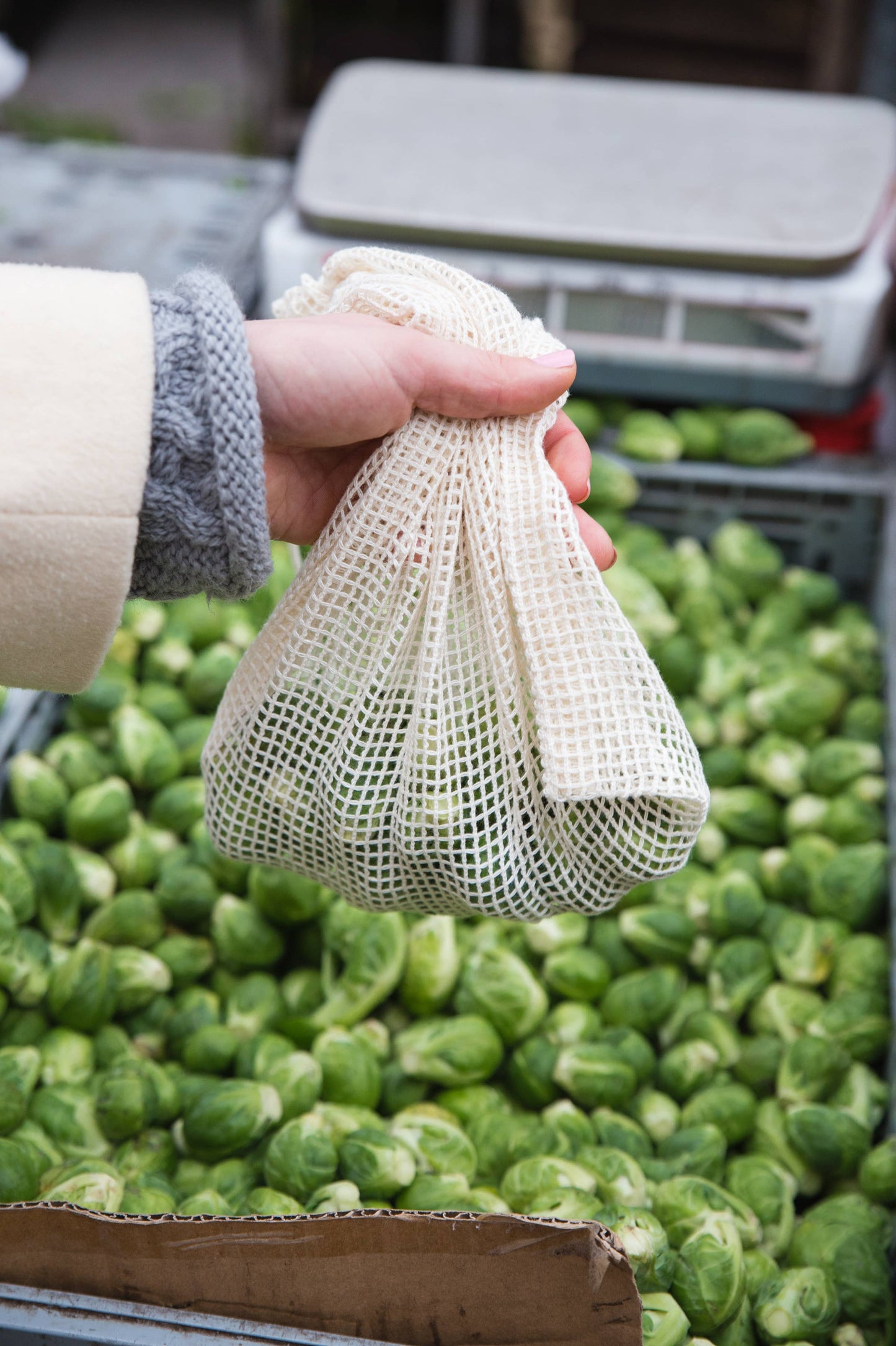 ECOBAGS Organic Mesh Produce Bag / Sack - Medium: Storm Blue