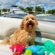 Clean Earth Plush Manatee Toy - 100% Sustainable