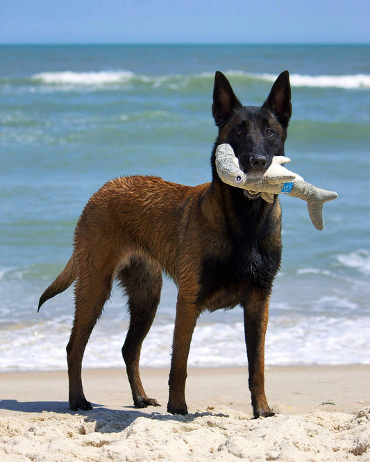 Clean Earth Plush Manatee Toy - 100% Sustainable