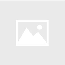 Sealed With a Kiss - Harbor Seal Magnet w/ Card