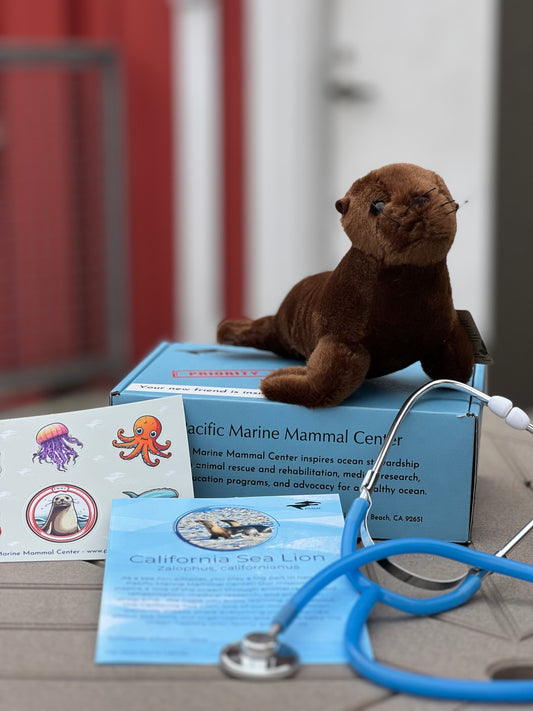 Adoption Kit - Symbolic