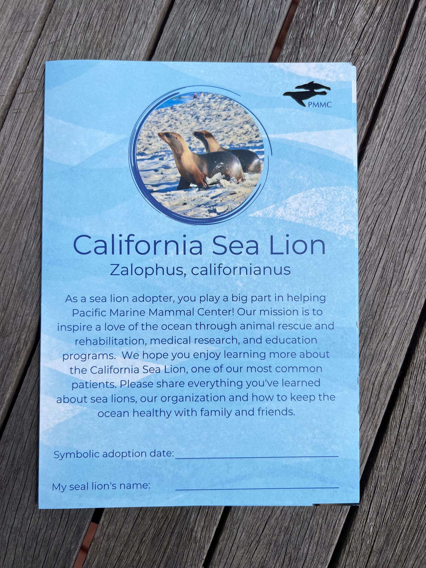 Adoption Kit - Symbolic