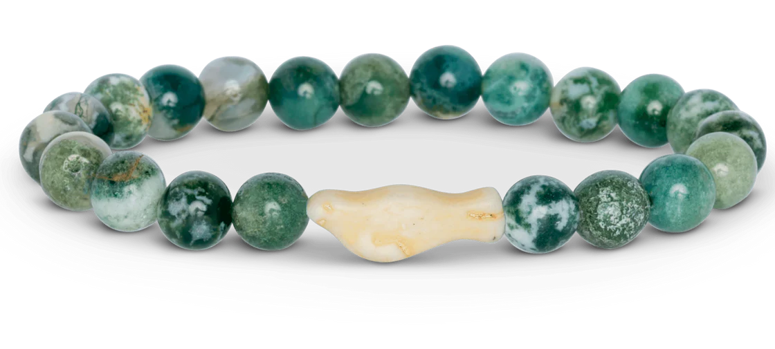 Fahlo Bracelets - Track an Elephant Seal