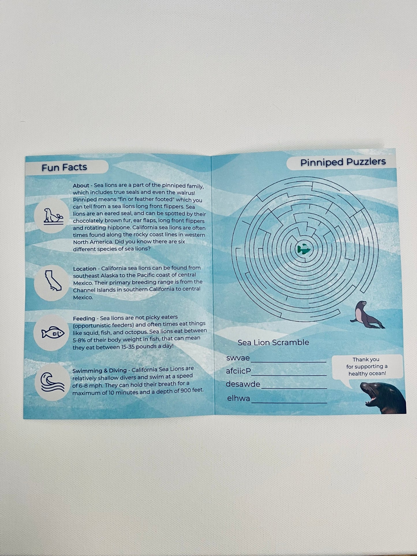 Adoption Kit - Symbolic