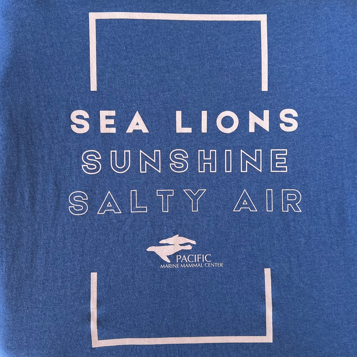 Sea Lions Sunshine & Salty Air Unisex Tee