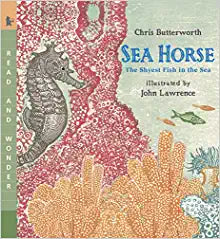 Seahorse