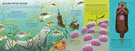 The Sea Book