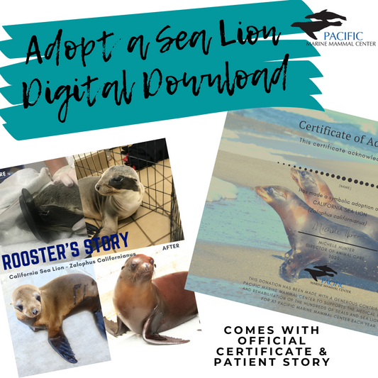 Adoption Kit - Digital