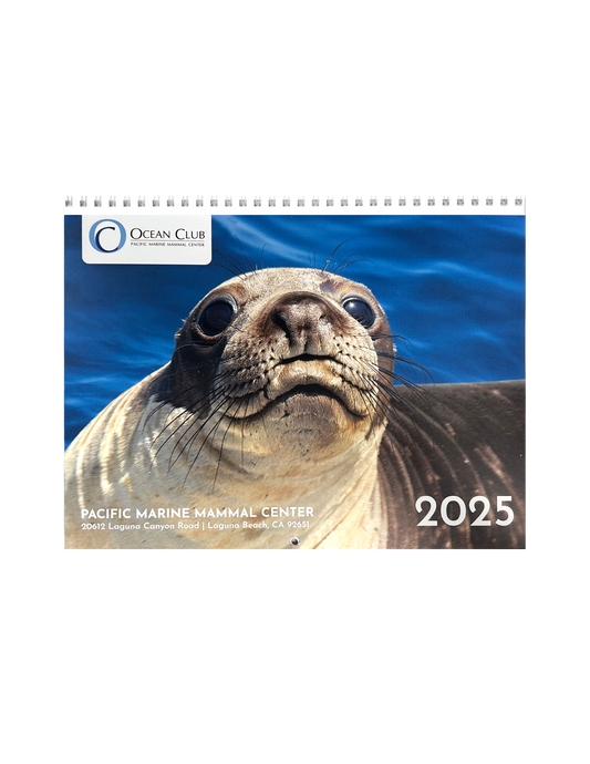 2025 Ocean Club PMMC Calendar