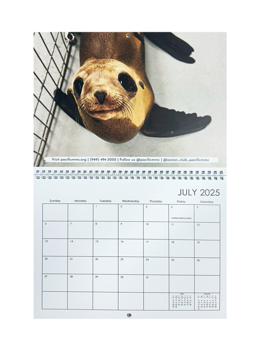 2025 Ocean Club PMMC Calendar