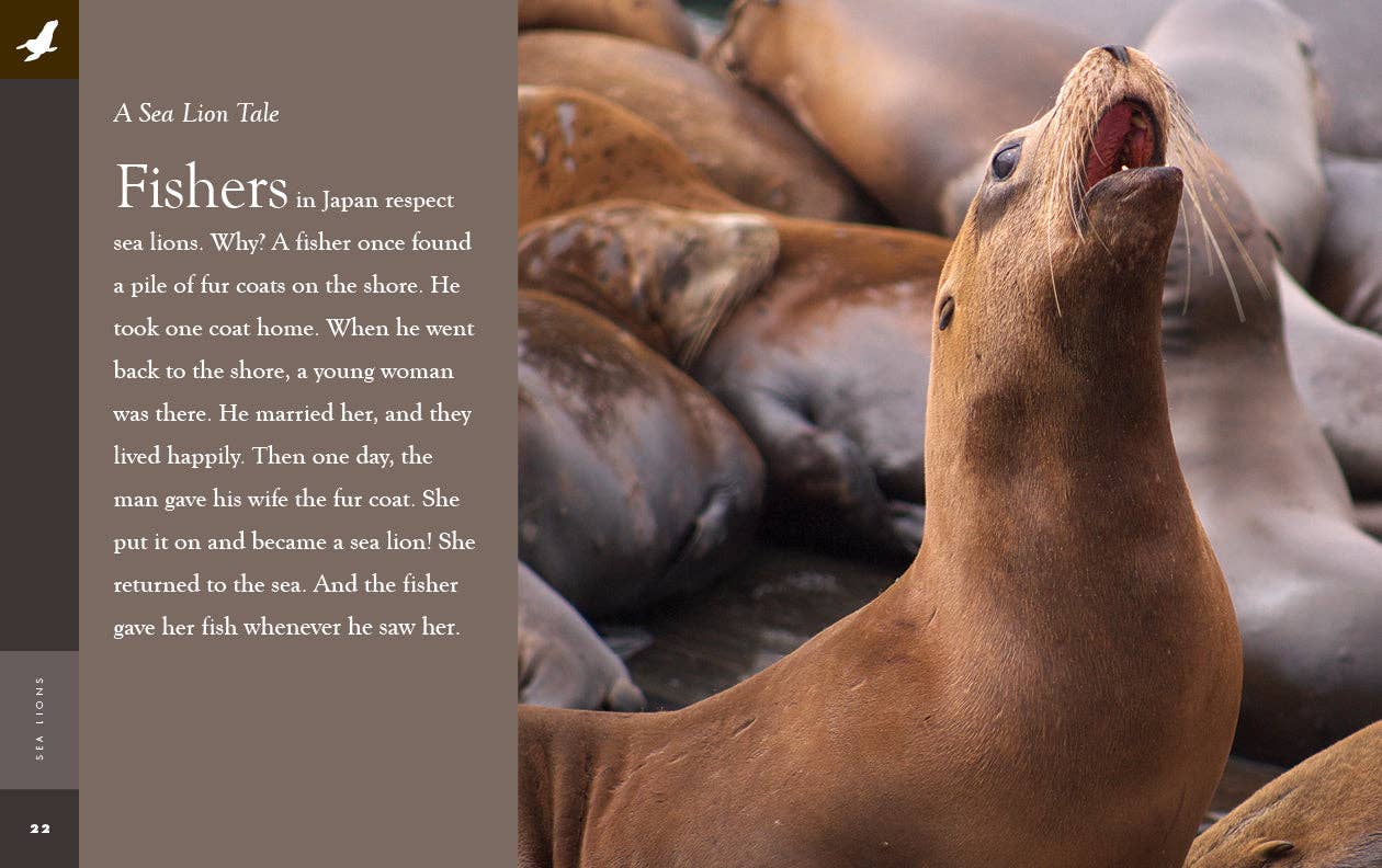 Amazing Animals: Sea Lions: Paperback