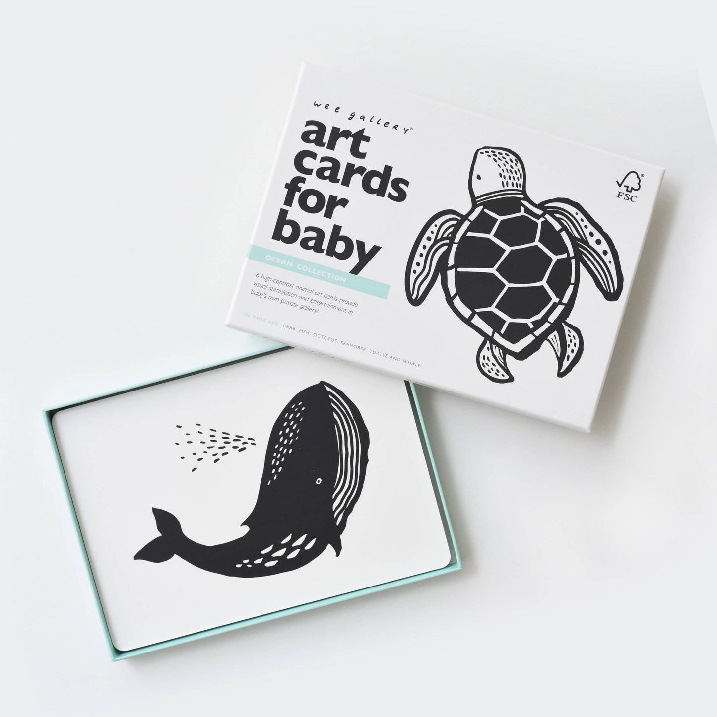 Art Cards for Baby - Ocean Animals