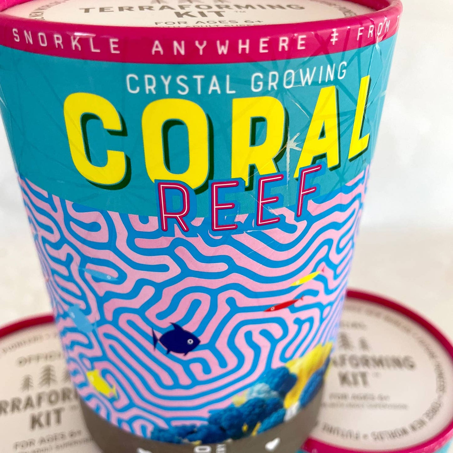 Crystal Growing Coral Reef | 
Craft Kit Science Kit