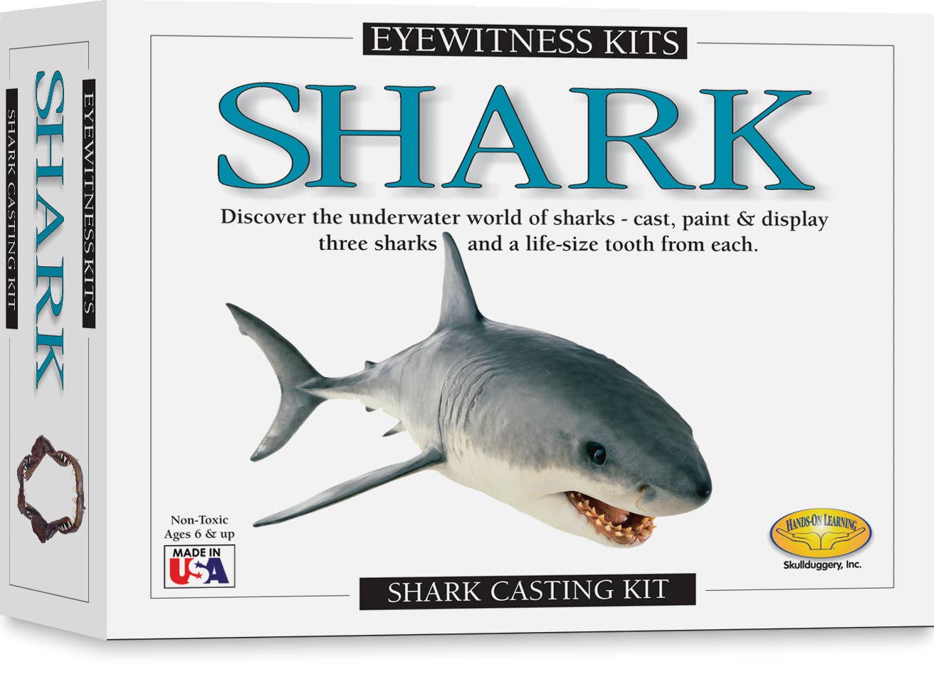 Eyewitness Kits - Shark