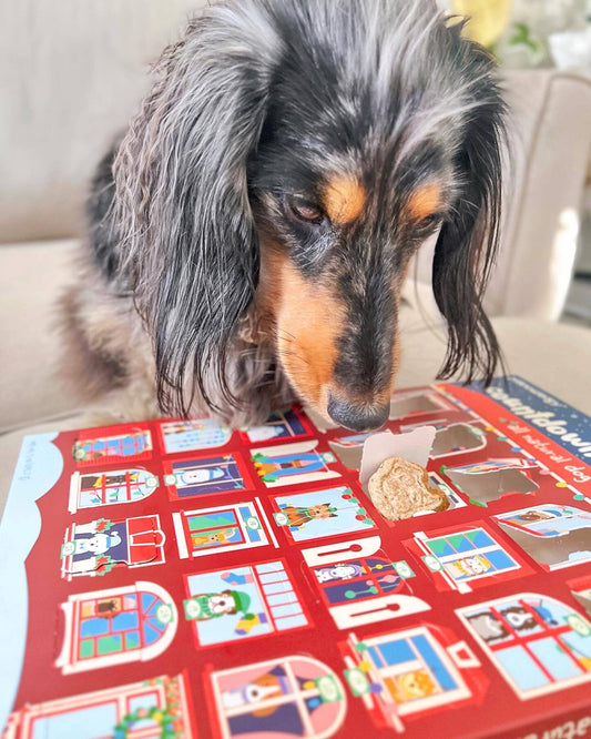 25 Days of Dog Treats Advent Calendar