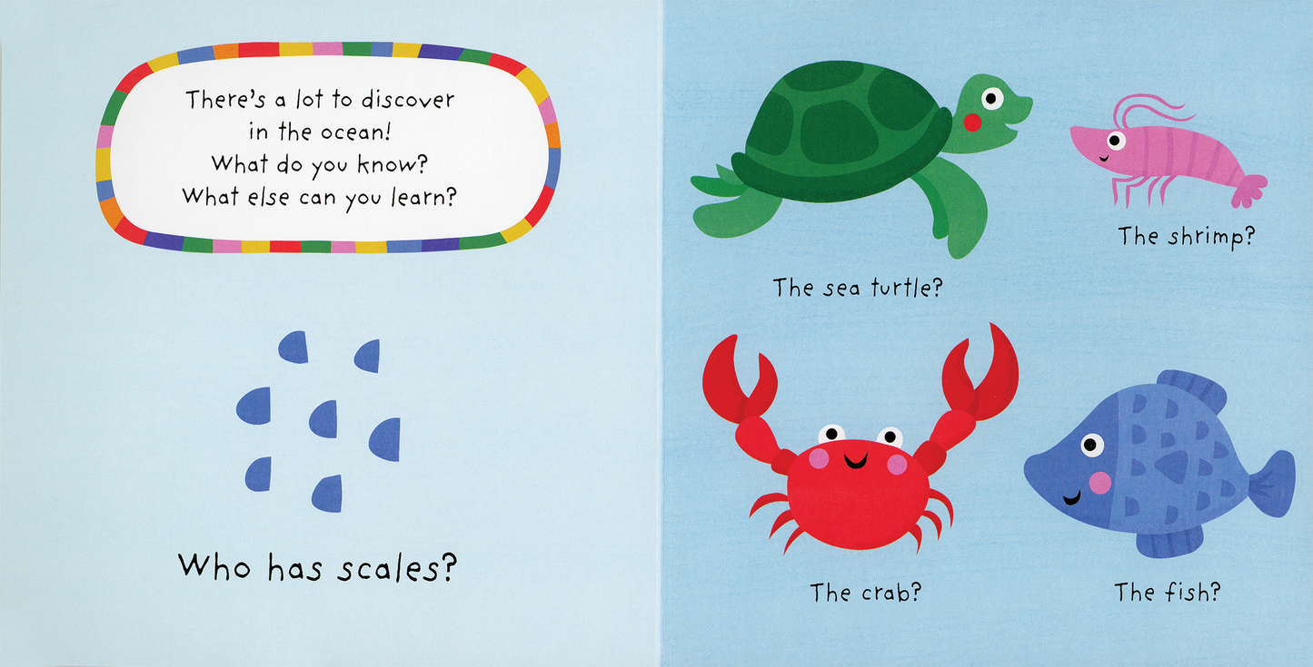 My Colorful Quiz: Ocean