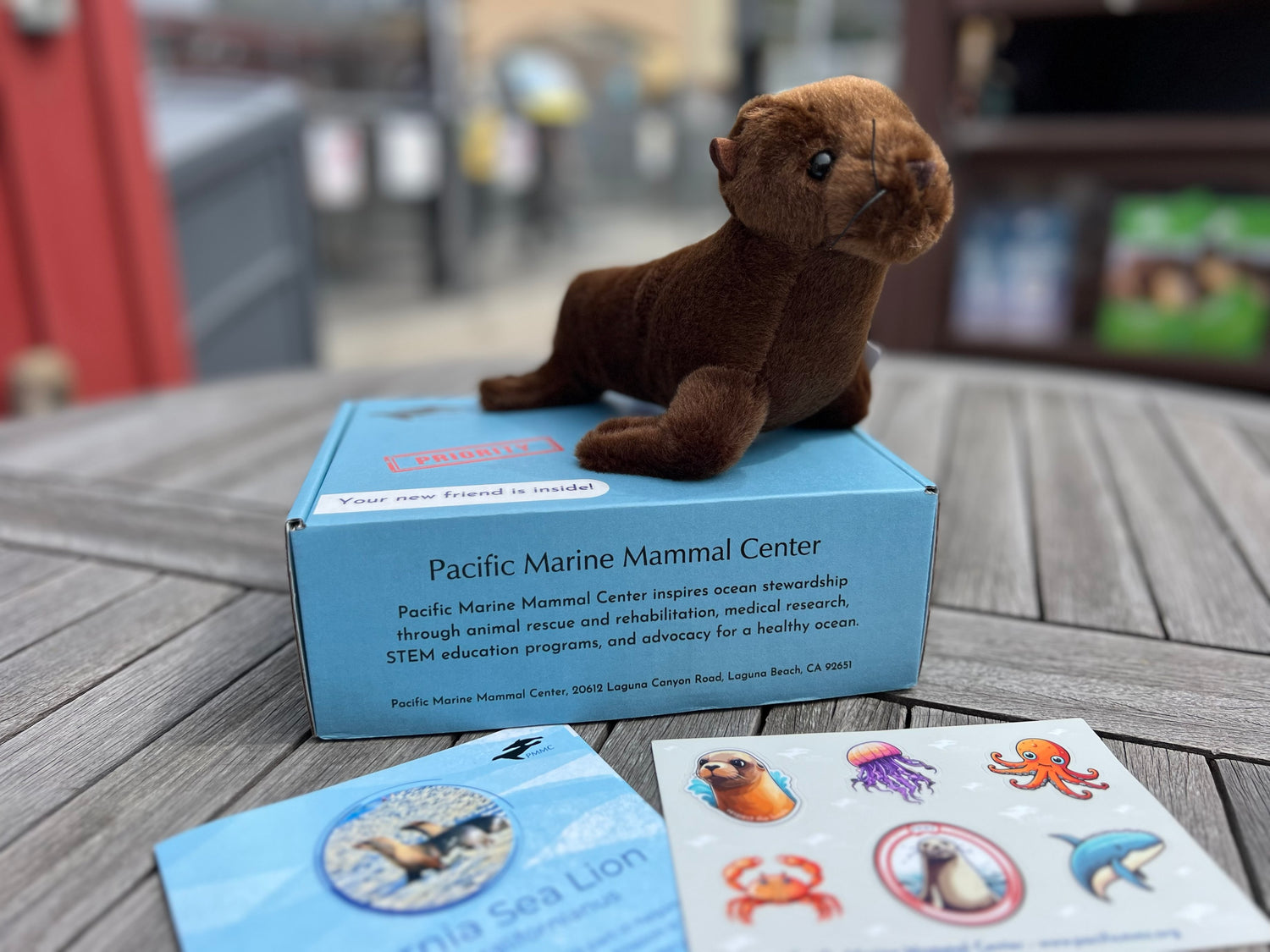 Straw Brush – The Marine Mammal Center Gift Store