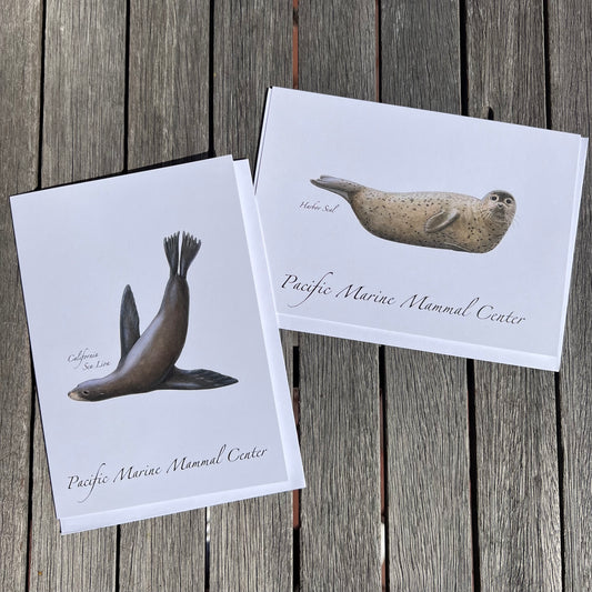 Marine Mammal Greeting Cards