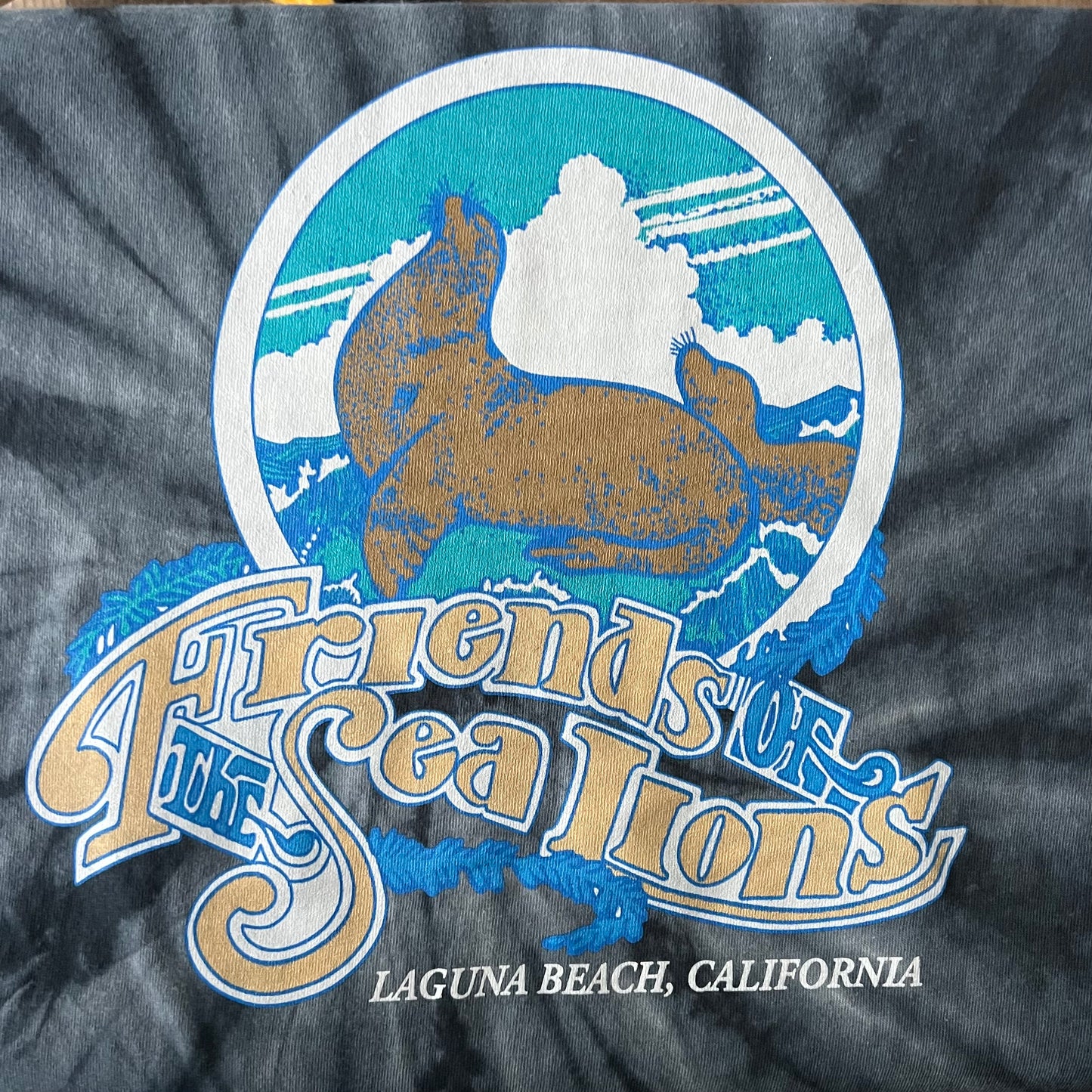 Friends of the Sea Lions Tie Dye Tee