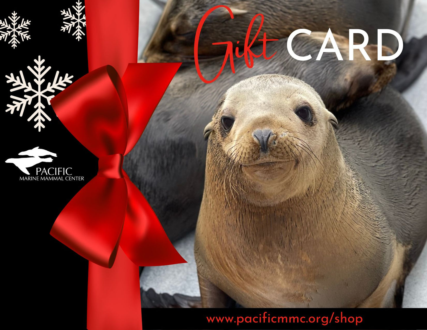 Pacific Marine Mammal Center Gift Card