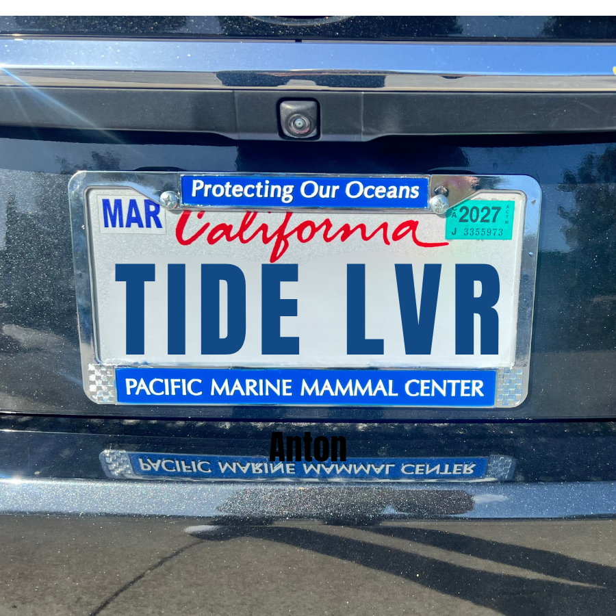 PMMC License Plate Frames