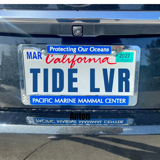 PMMC License Plate Frames