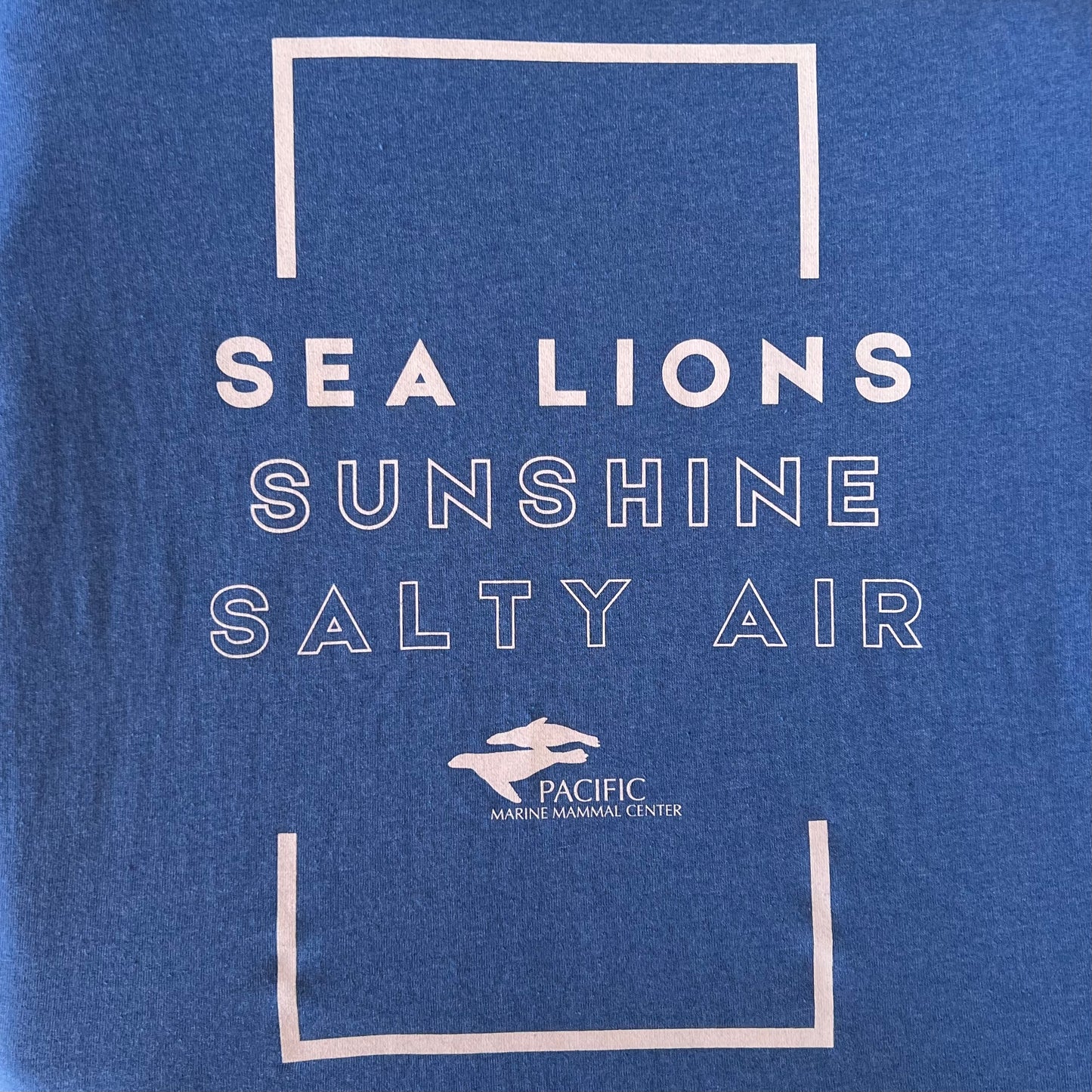 Sea Lions Sunshine & Salty Air Unisex Tee