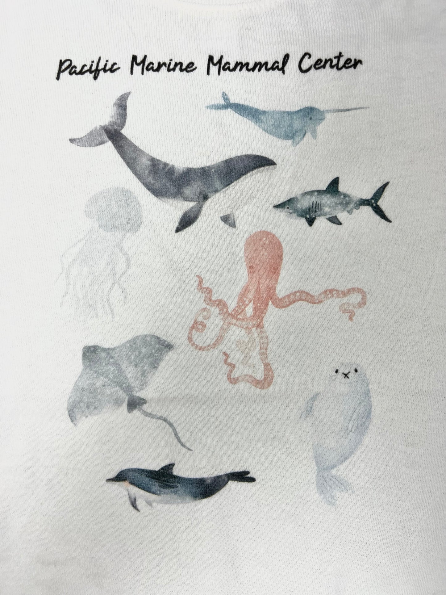 PMMC Toddler Sea Creatures Tee