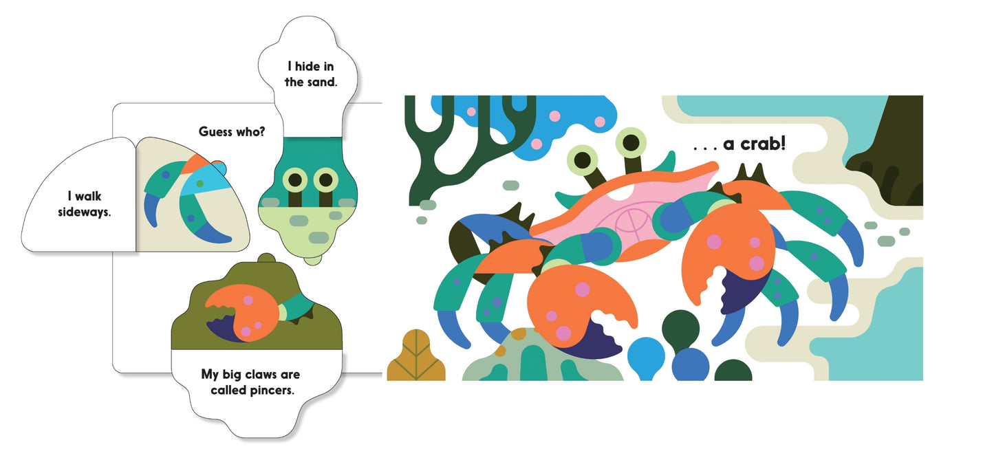 Guess Who in the Ocean