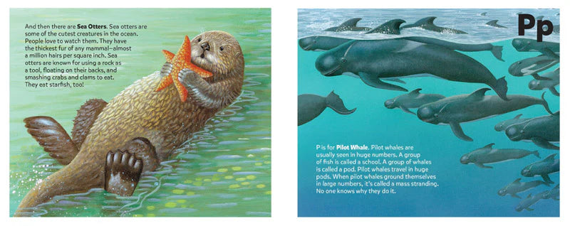 Sea Mammal Alphabet Book