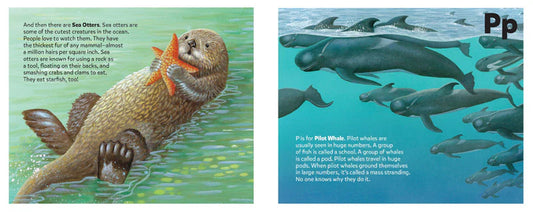 Sea Mammal Alphabet Book