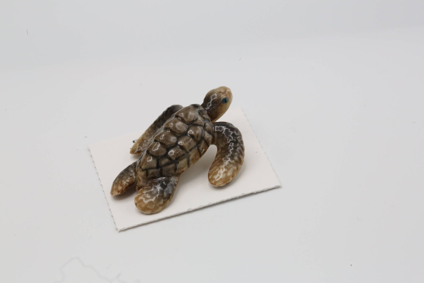 Dream Sea Turtle Baby Porcelain Miniature