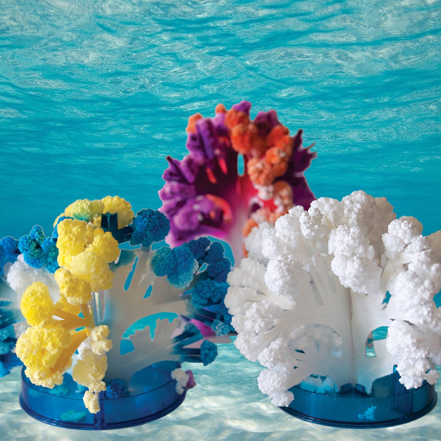 Crystal Growing Coral Reef | 
Craft Kit Science Kit