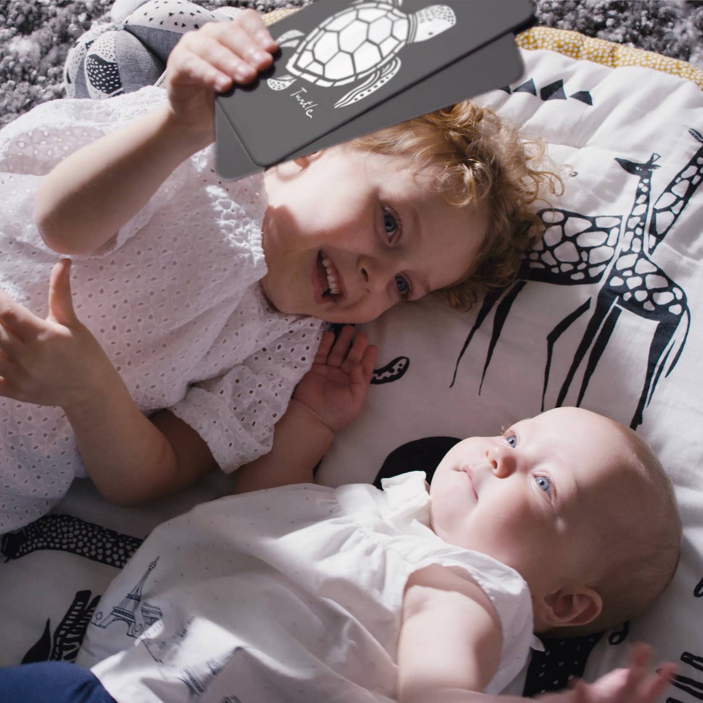 Art Cards for Baby - Ocean Animals