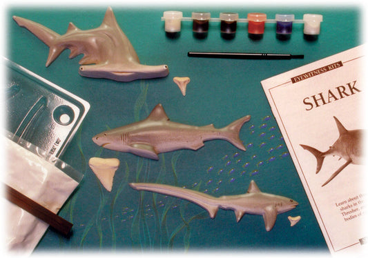 Eyewitness Kits - Shark