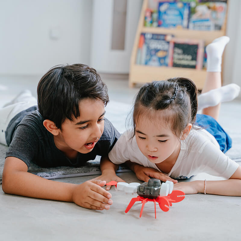 Lobster & Octopus - Ocean Friends STEM Science Set