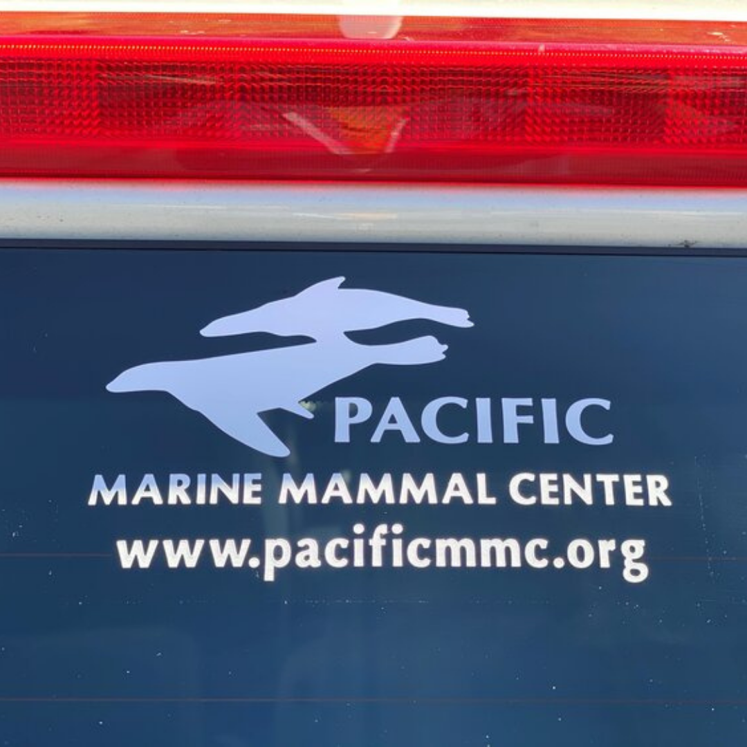 PMMC Car Decal/Sticker