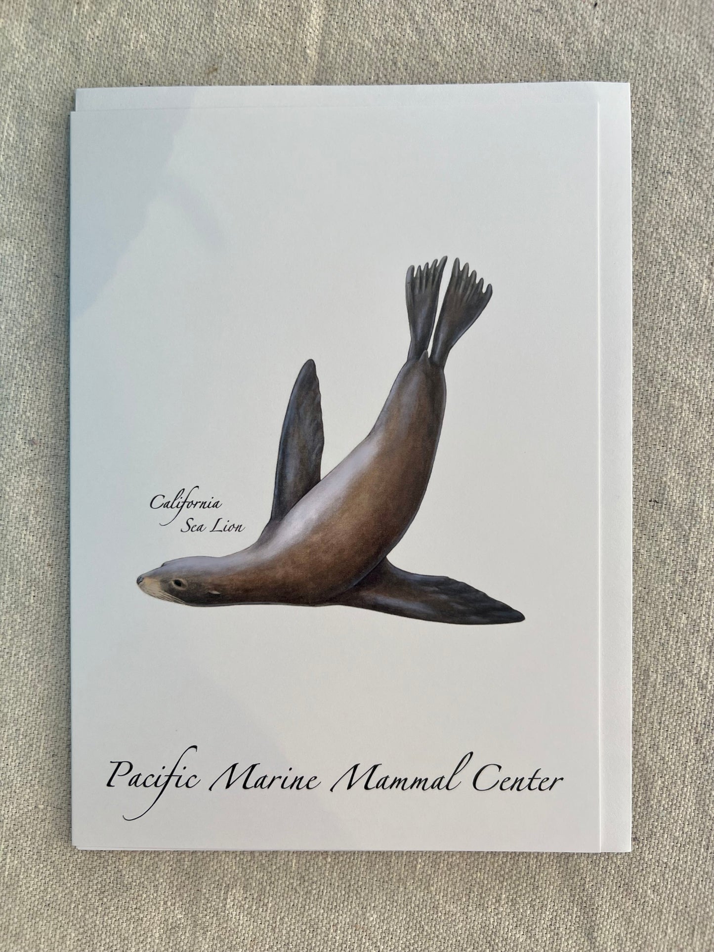 Marine Mammal Greeting Cards