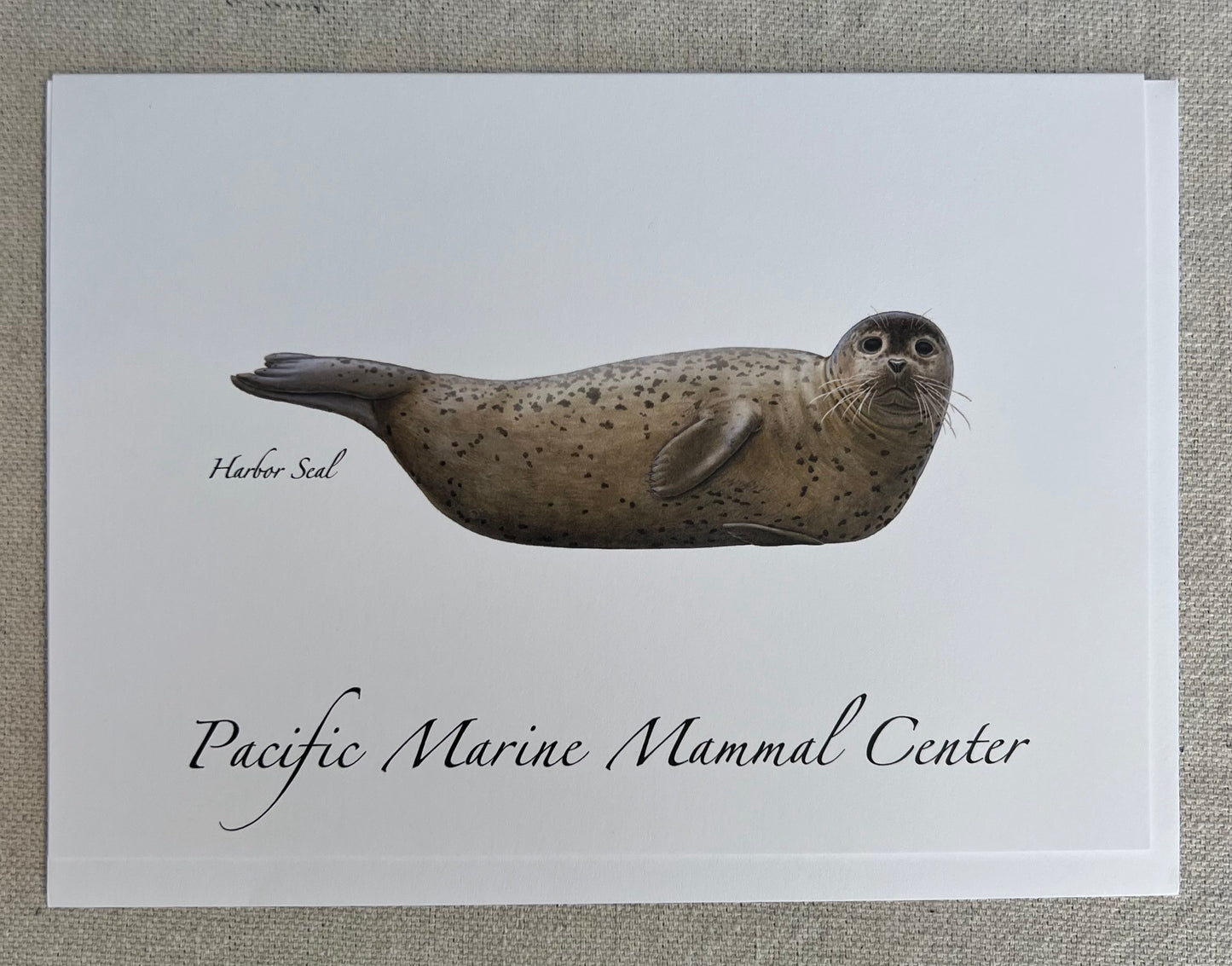 Marine Mammal Greeting Cards