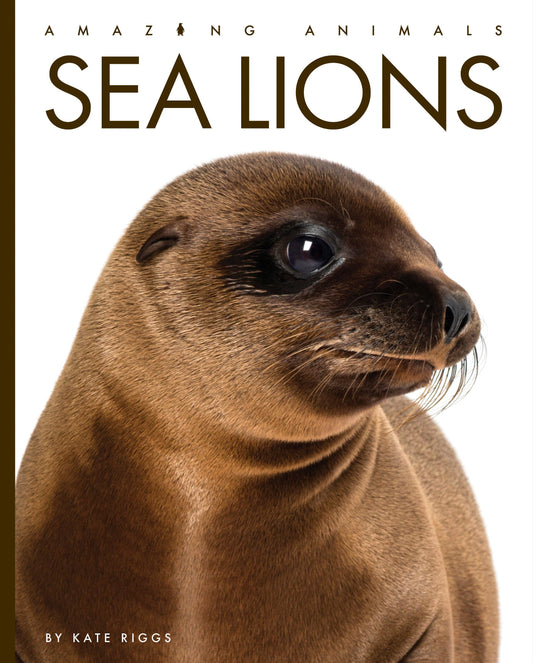 Amazing Animals: Sea Lions: Paperback