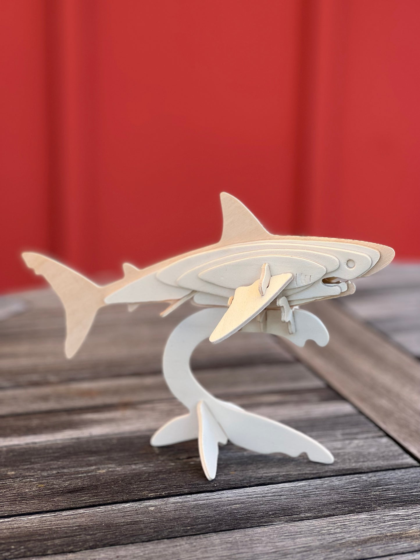 3D Wooden Puzzles Marine Life