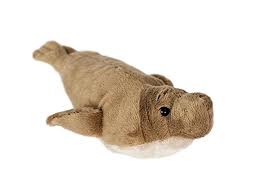 Elephant Seal 8"